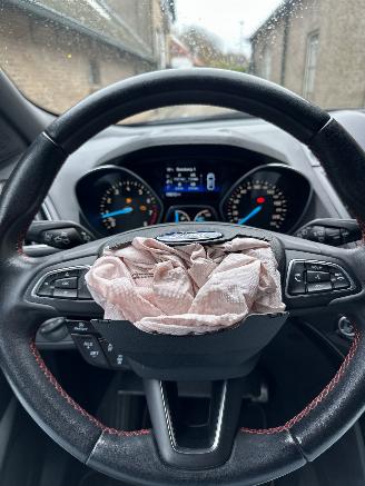 Ford Kuga 1.5 EcoBoost ST Line picture 14