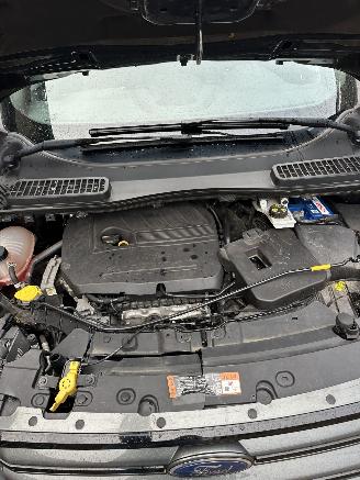 Ford Kuga 1.5 EcoBoost ST Line picture 26