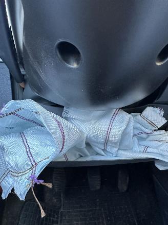 Fiat 500  picture 17