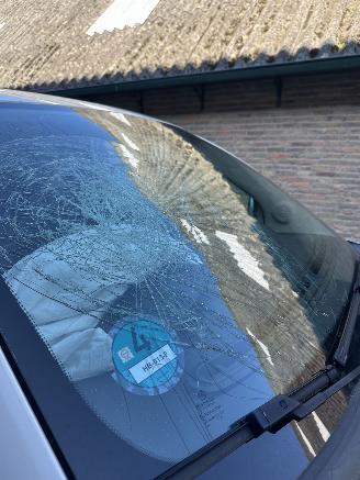 Fiat 500  picture 20