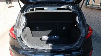 Ford Fiesta Ford Fiesta 1.0 EcoBoost Titanium picture 20
