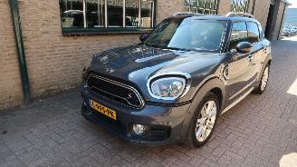 Unfallwagen Mini Countryman Mini Countryman 2.0 Cooper SD ALL4 Chili 2017/7