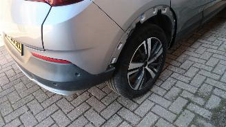 Opel Grandland Opel Grandland X 1.6 Turbo Hybrid4 Ultimate picture 35