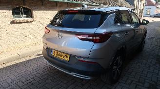 Opel Grandland Opel Grandland X 1.6 Turbo Hybrid4 Ultimate picture 6