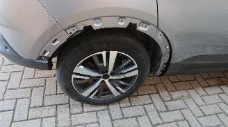 Opel Grandland Opel Grandland X 1.6 Turbo Hybrid4 Ultimate picture 26