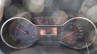 Opel Grandland Opel Grandland X 1.6 Turbo Hybrid4 Ultimate picture 8