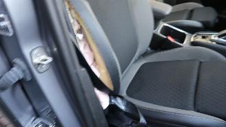 Opel Grandland Opel Grandland X 1.6 Turbo Hybrid4 Ultimate picture 30