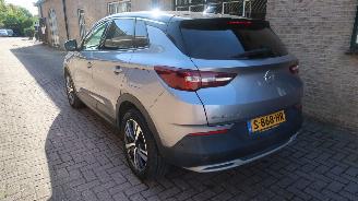 Opel Grandland Opel Grandland X 1.6 Turbo Hybrid4 Ultimate picture 4