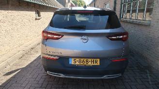 Opel Grandland Opel Grandland X 1.6 Turbo Hybrid4 Ultimate picture 5
