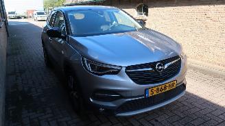 Opel Grandland Opel Grandland X 1.6 Turbo Hybrid4 Ultimate picture 3