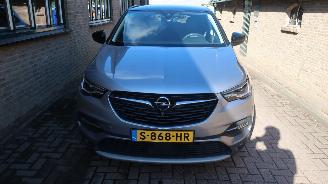 Opel Grandland Opel Grandland X 1.6 Turbo Hybrid4 Ultimate picture 2