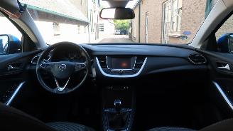 Opel Grandland Opel Grandland X 1.2 Turbo 120 Jaar Edition picture 8