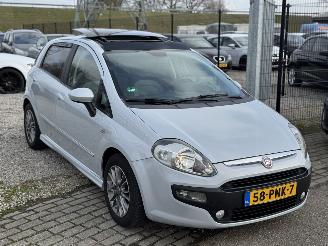 Fiat Punto Evo 1.3 M-Jet Dynamic picture 3