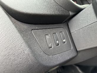 Renault Kangoo 1.5 Blue Dci 95 Luxe picture 22