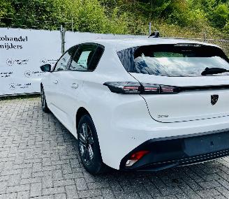 Peugeot 308 Active picture 6