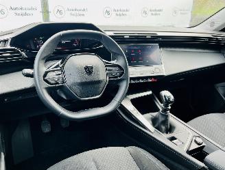 Peugeot 308 Active picture 10
