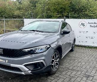 Fiat Tipo Cross picture 3