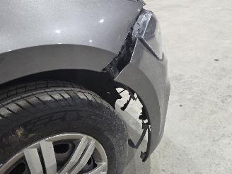 Volkswagen Polo Trendline picture 13