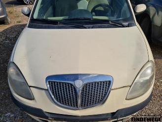 Lancia Ypsilon Ypsilon (843), Hatchback, 2003 / 2011 1.2 picture 12
