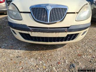 Lancia Ypsilon Ypsilon (843), Hatchback, 2003 / 2011 1.2 picture 13