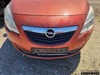 Opel Meriva Meriva, MPV, 2010 / 2017 1.3 CDTI 16V picture 8