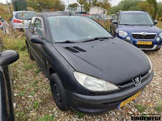 Sloopauto Peugeot 206  2001/5