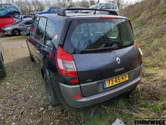 Renault Grand-scenic Grand Scenic II (JM), MPV, 2004 / 2009 2.0 16V picture 2