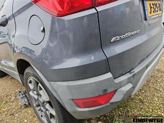 Ford EcoSport EcoSport (JK8), SUV, 2013 1.0 EcoBoost 12V 125 picture 24