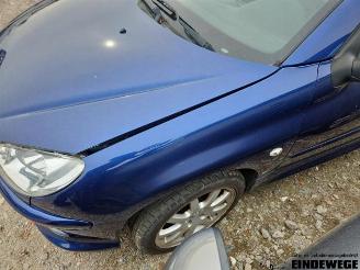 Peugeot 206 206 CC (2D), Cabrio, 2000 / 2007 1.6 16V picture 4