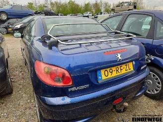 Peugeot 206 206 CC (2D), Cabrio, 2000 / 2007 1.6 16V picture 7