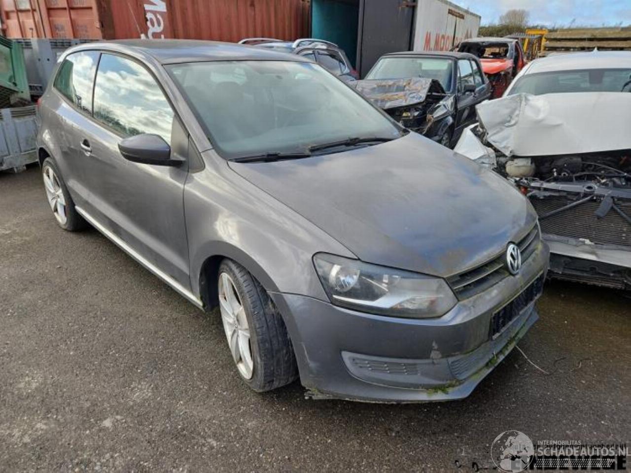 Volkswagen Polo Polo V (6R), Hatchback, 2009 / 2017 1.6 TDI 16V 90