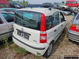 Fiat Panda  picture 3