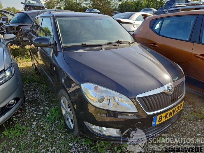Skoda Fabia Fabia II Combi, Combi 5-drs, 2007 / 2014 1.2 TDI 12V Greenline