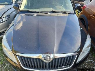 Skoda Fabia Fabia II Combi, Combi 5-drs, 2007 / 2014 1.2 TDI 12V Greenline picture 20