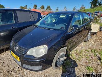 disassembly passenger cars Volkswagen Polo Polo IV (9N1/2/3), Hatchback, 2001 / 2012 1.2 2007/3