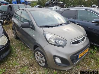 Salvage car Kia Picanto Picanto (TA), Hatchback, 2011 / 2017 1.0 12V 2011/6