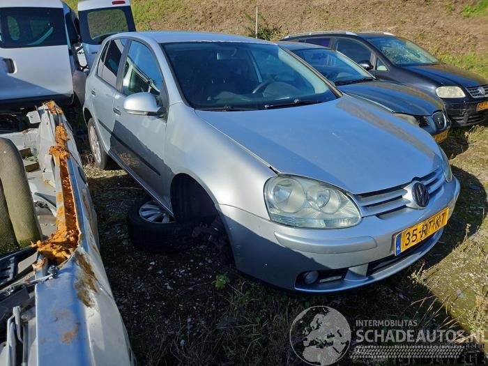 Volkswagen Golf Golf V (1K1), Hatchback, 2003 / 2010 1.6 FSI 16V