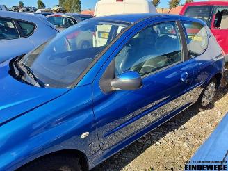 Peugeot 206 206 (2A/C/H/J/S), Hatchback, 1998 / 2012 1.6 16V picture 8