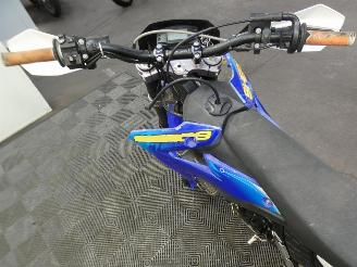 Sherco  250 picture 11