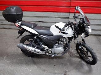 krockskadad bil motor Honda CBF 125  2010/5