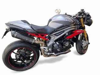 Triumph Speed Triple  picture 9