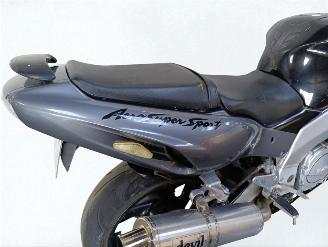 Yamaha YZF 1000 R THUNDERACE picture 5