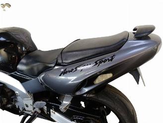 Yamaha YZF 1000 R THUNDERACE picture 11