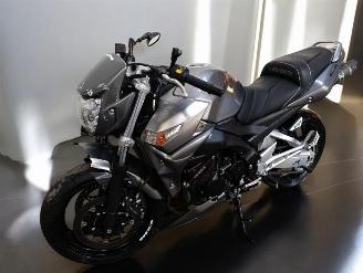 Suzuki GS 1000  picture 5