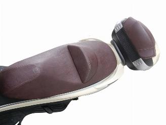 Piaggio X10  picture 21