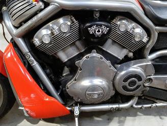 Harley-Davidson Street Rod  picture 20