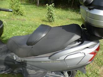 Suzuki  BURGMAN picture 14