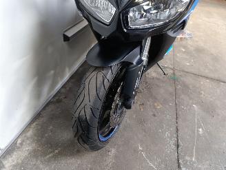 Kawasaki Z 1000 SX picture 7