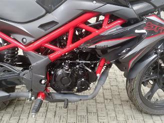 Benelli  BN picture 15