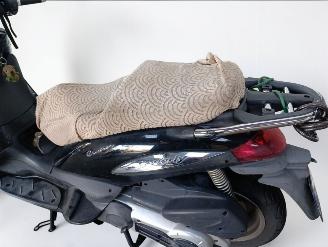 Piaggio  BEVERLY picture 19